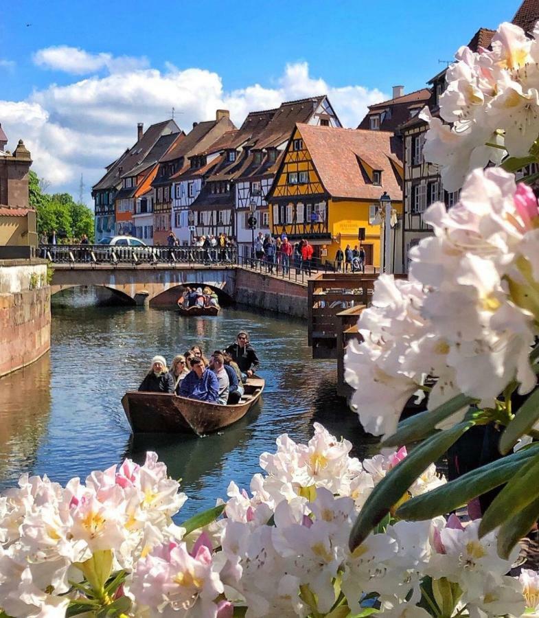 Djokovic'S Apartment Colmar Kültér fotó